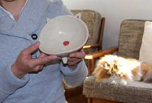 猫型陶器の猫よしオリジナルのお皿。