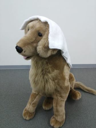 早く冷やしてね!