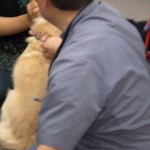 脱水の状態をチェックしています