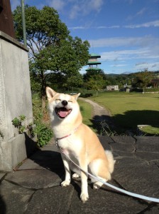 最高の笑顔(^^)/北村ラニちゃん♪