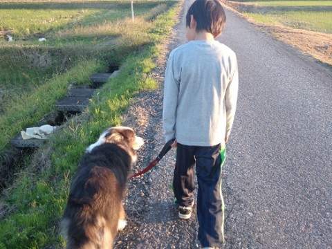 とても幸せな気持ちになる光景です♪