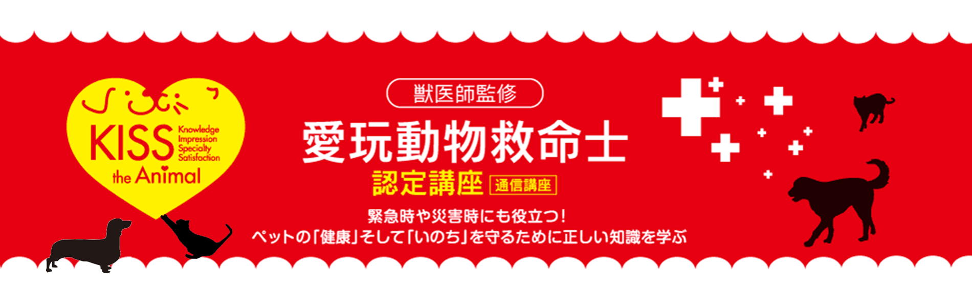 愛玩動物救命士養成講座