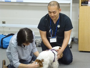 獣医師から学ぶ動物の救急救命実技セミナー | セミナーのご案内 | ペットの資格 愛玩動物救命士養成講座
