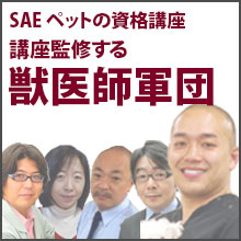 SAEペットの資格講座を監修する獣医師軍団