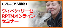ヴィベケRPTMセミナー