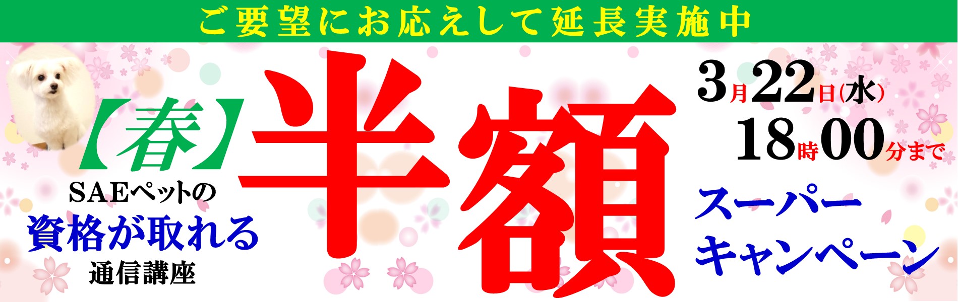 ペットの資格取得応援キャンペーン