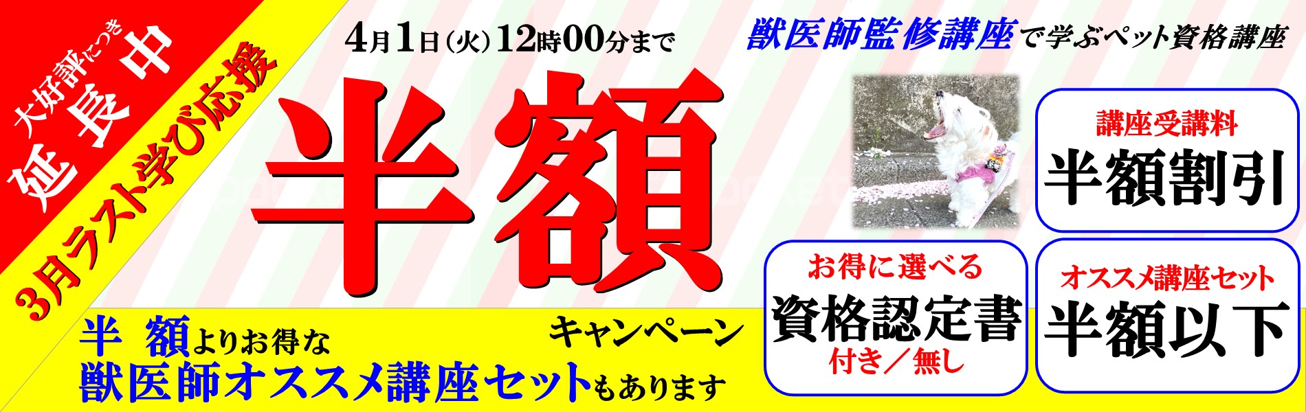 ペットの資格取得応援キャンペーン
